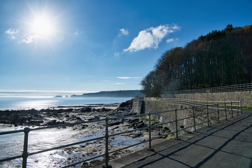 Kittiwake Lodge - 2 Bed Lodge - Wisemans Bridge (28851)