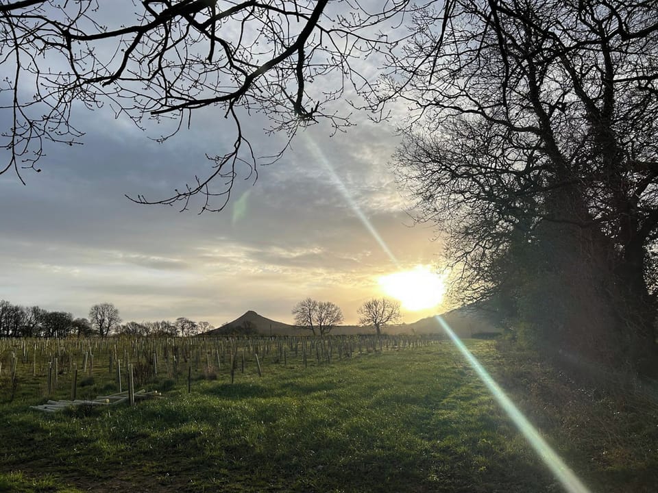 Surrounding area | Stables - Langbaurgh Hall, Great Ayton