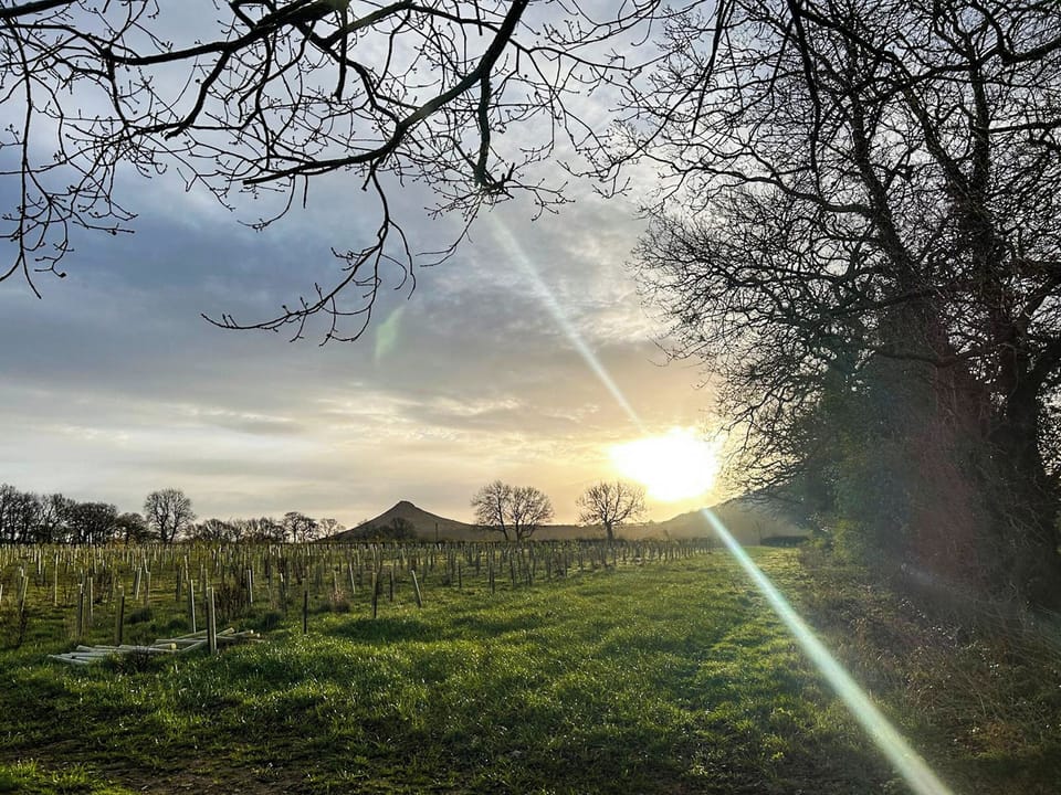 Garden and grounds | Coach House - Langbaurgh Hall, Great Ayton