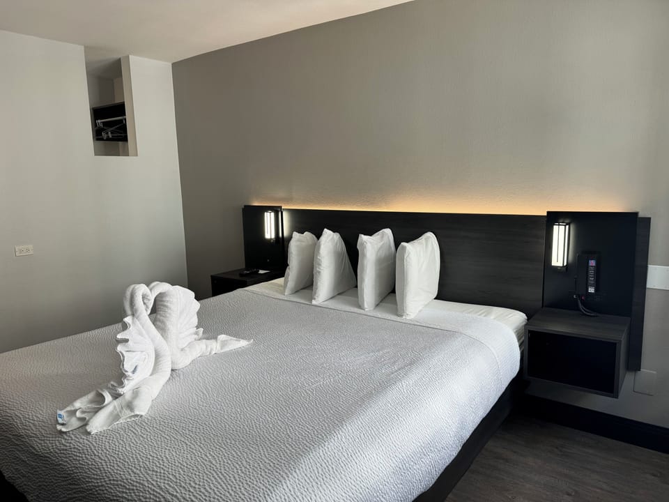 Basic Room, 1 King Bed | Desk, free WiFi, bed sheets