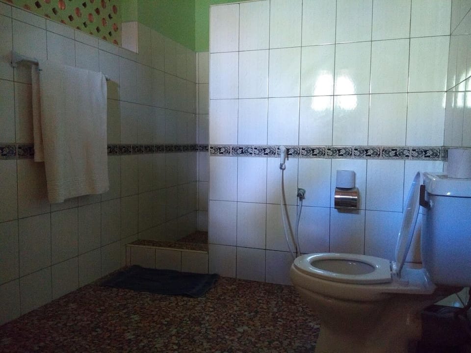 Deluxe Double Room | Bathroom | Shower, free toiletries, slippers, towels