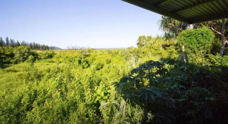 Standard Cabin, Garden View, Sea Facing (Yoga Hale 1) | View from room