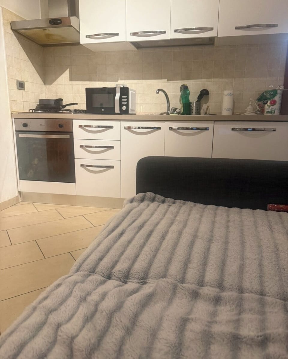 Deluxe Apartment, Balcony | Private kitchen