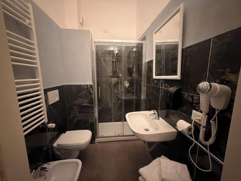 Shower, rainfall showerhead, hair dryer, bidet