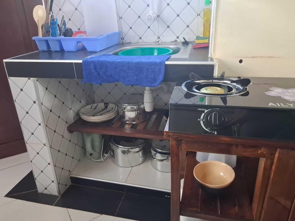 Classic Apartment | Private kitchen | Fridge, microwave, cookware/dishes/utensils