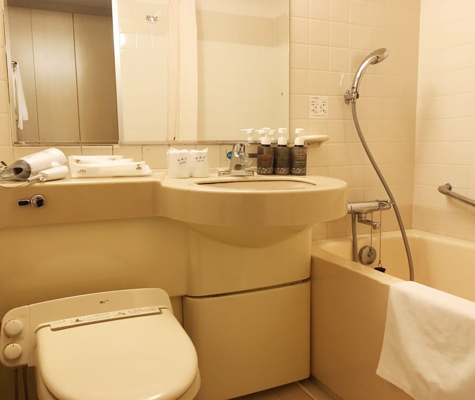Combined shower/tub, free toiletries, hair dryer, slippers