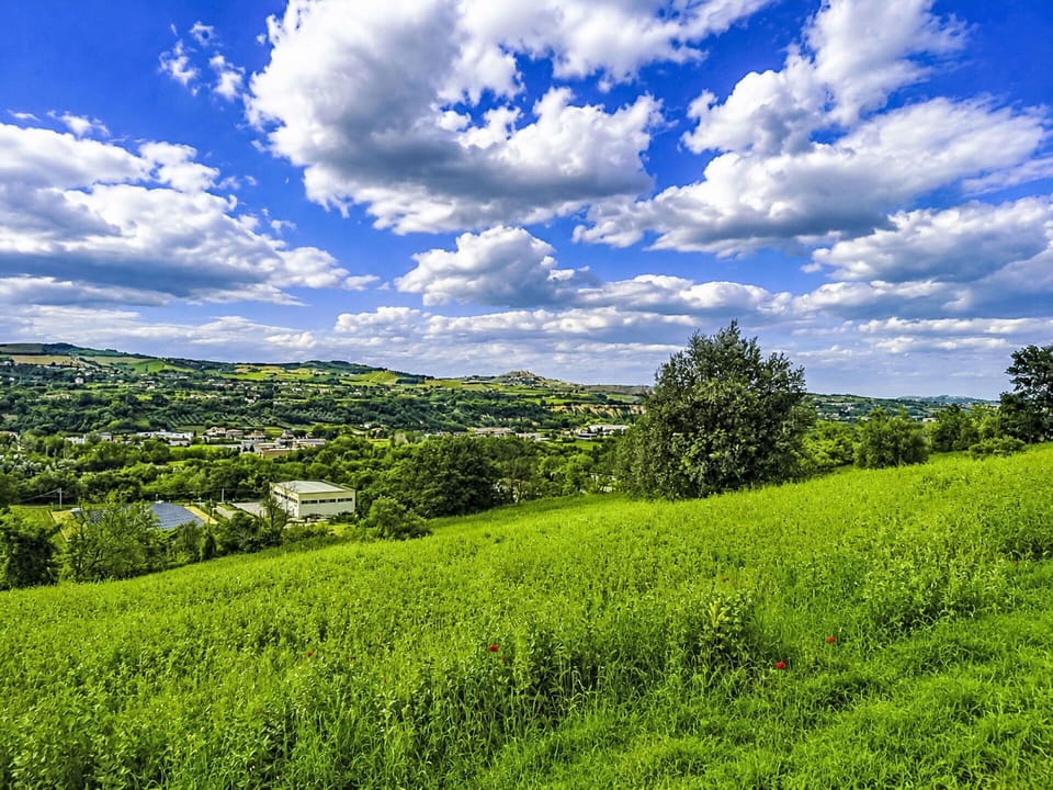 Blue, Cloud, Green, Daytime, Grass, Nature, Natural Environment, Grassland, Vegetation, Cumulus