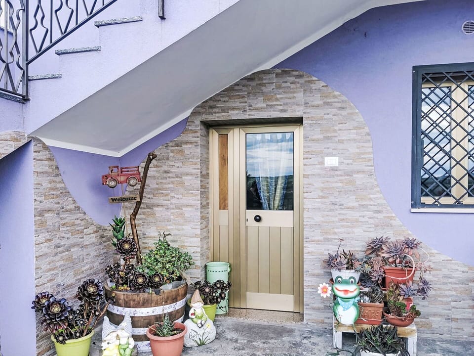 Wall, Door, Flowerpot, Home, Home Door, Houseplant, Concrete, Paint, Brick, Stairs