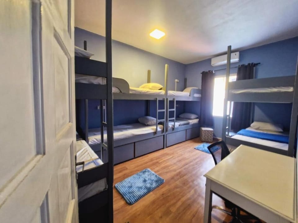 Superior Shared Dormitory, Mixed Dorm | Desk, WiFi (free)