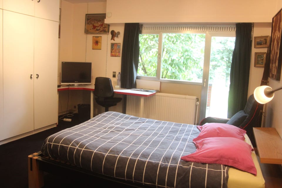 Deluxe Double Room, Garden View | WiFi (free)