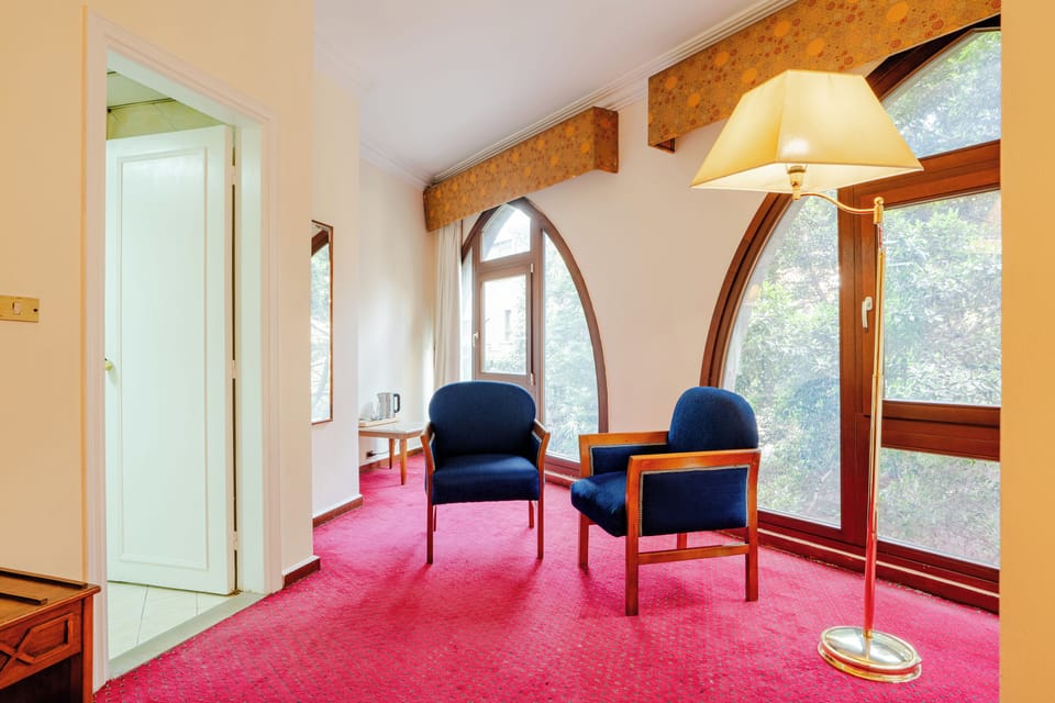 Standard Double Room, City View | Minibar, in-room safe, soundproofing, free WiFi