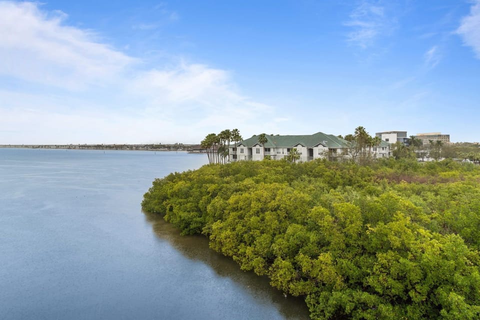 Embrace nature from your balcony, nestled beside lush mangroves and sparkling waters.