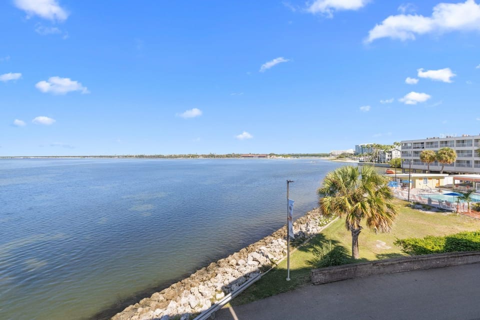 Take in the vibrant waterfront scene, where palm trees sway gently alongside calm waters.