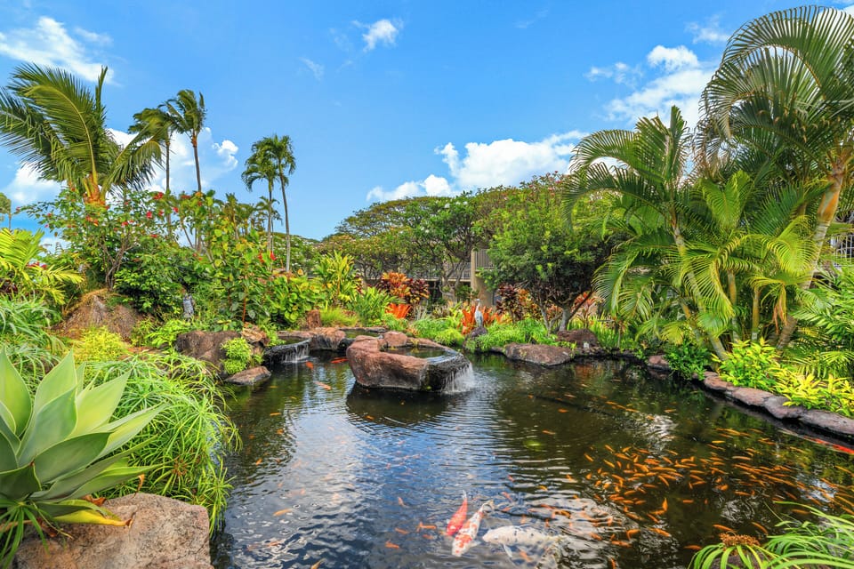 Admire a serene koi pond surrounded by lush tropical plants and vibrant greenery, creating a peaceful garden retreat.