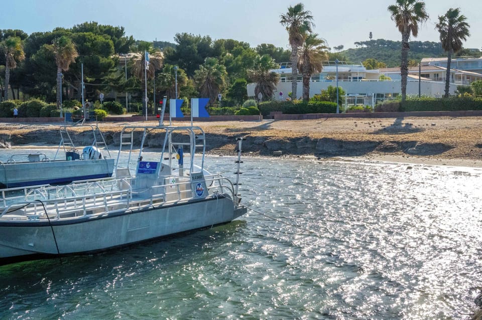 The lively marina of Saint-Mandrier, where fishing boats and sailboats share the harbour in true Provençal style — just minutes from your apartment.
