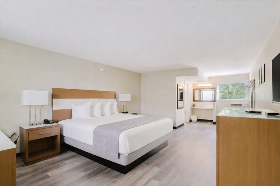 Standard Room, 1 King Bed | In-room safe, desk, iron/ironing board, free WiFi
