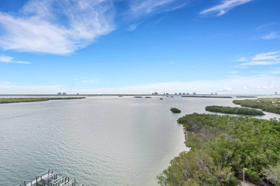 Estero Bay is home abundant wild life and boat traffic - an everchanging backdrop of activity you'll enjoy watching!