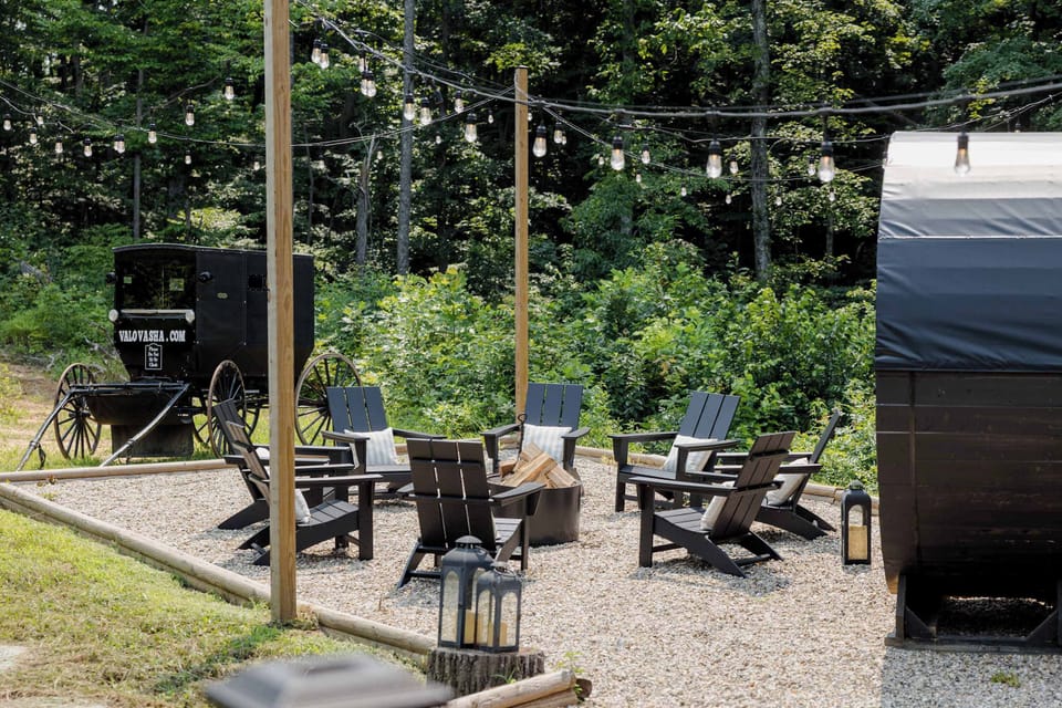 Backyard (sauna, mural, Adirondack chairs, fire pit, string lights)