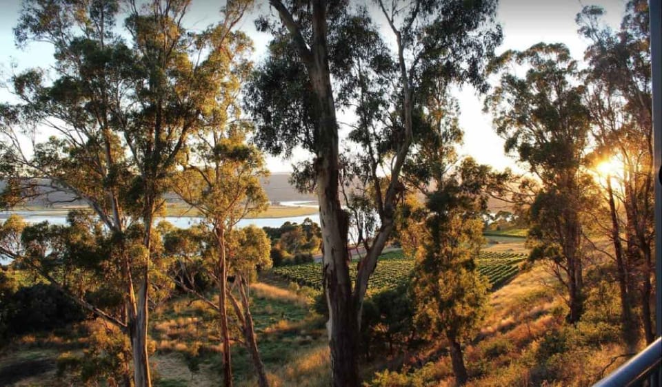 Tamar Ridge View
