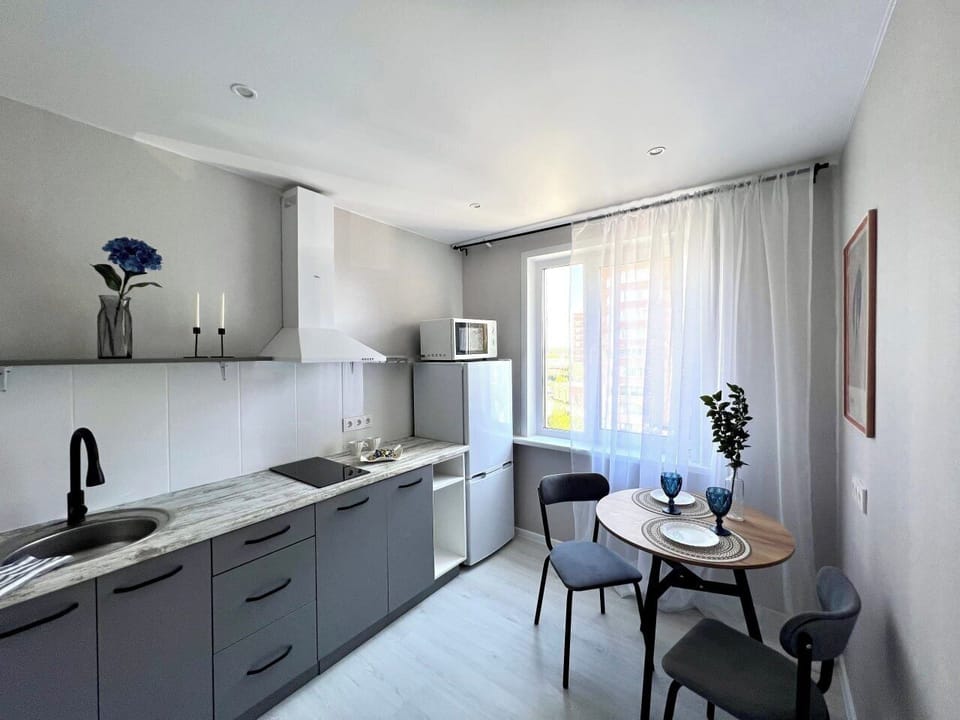 Standard Apartment, 1 Bedroom | Private kitchen | Electric kettle, griddle, cleaning supplies, paper towels