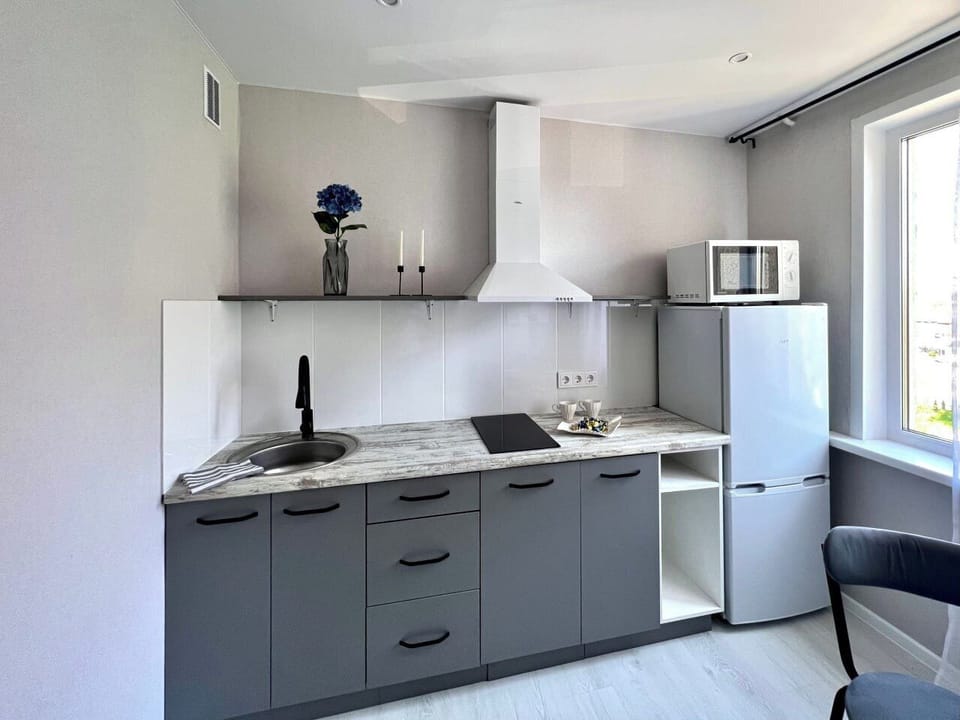 Standard Apartment, 1 Bedroom | Private kitchen | Electric kettle, griddle, cleaning supplies, paper towels