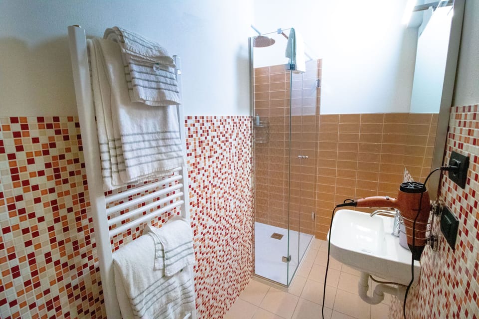 Standard Double or Twin Room | Bathroom | Hair dryer, towels, soap, shampoo
