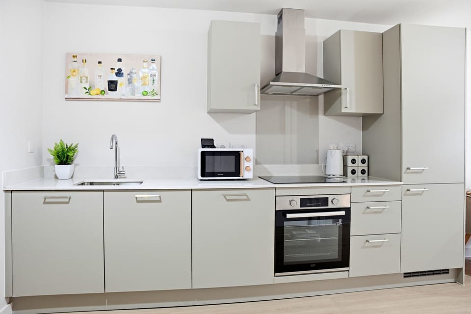 Luxury Apartment, 1 King Bed with Sofa bed, Non Smoking, Kitchenette | Private kitchen | Full-size fridge, microwave, oven, dishwasher