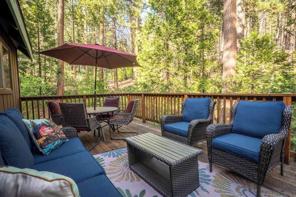 Forest View from the deck!