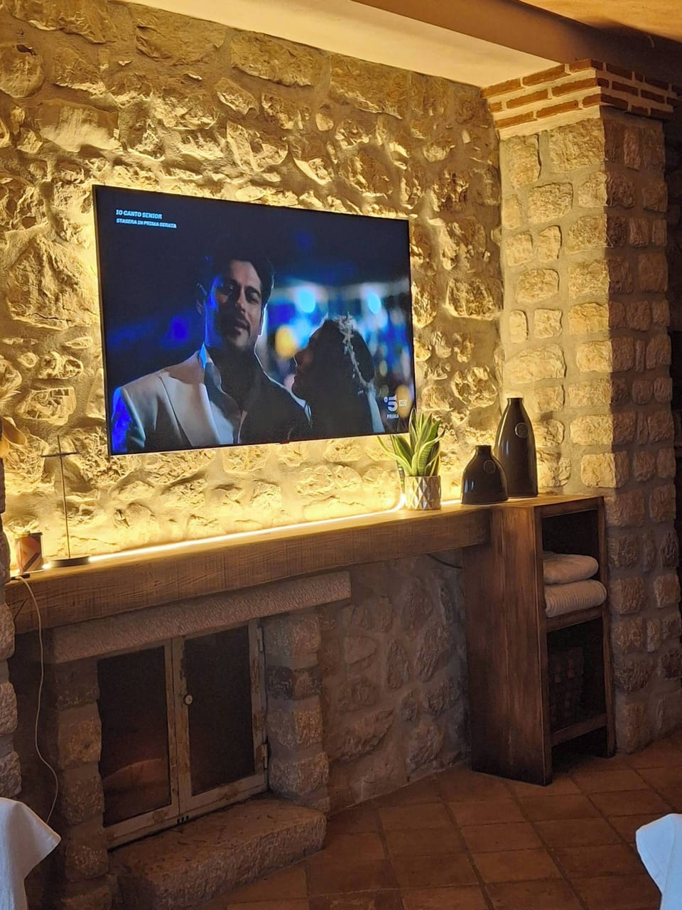 Television