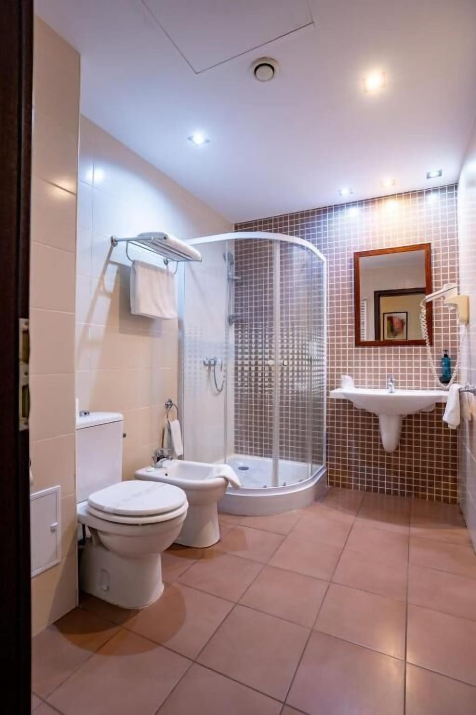 Free toiletries, hair dryer, bidet, towels