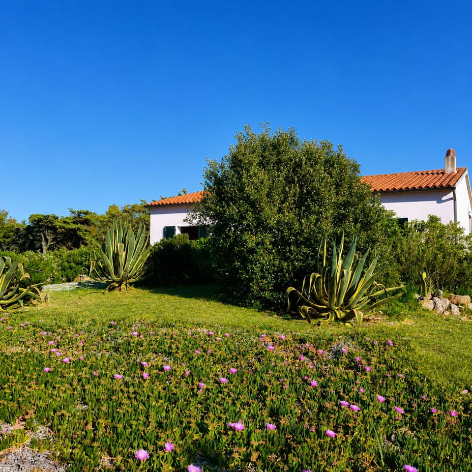Autumn, Garden, Spring, Summer