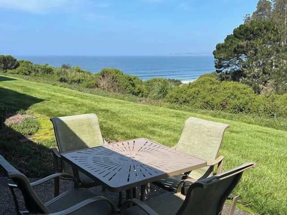 Patio View
