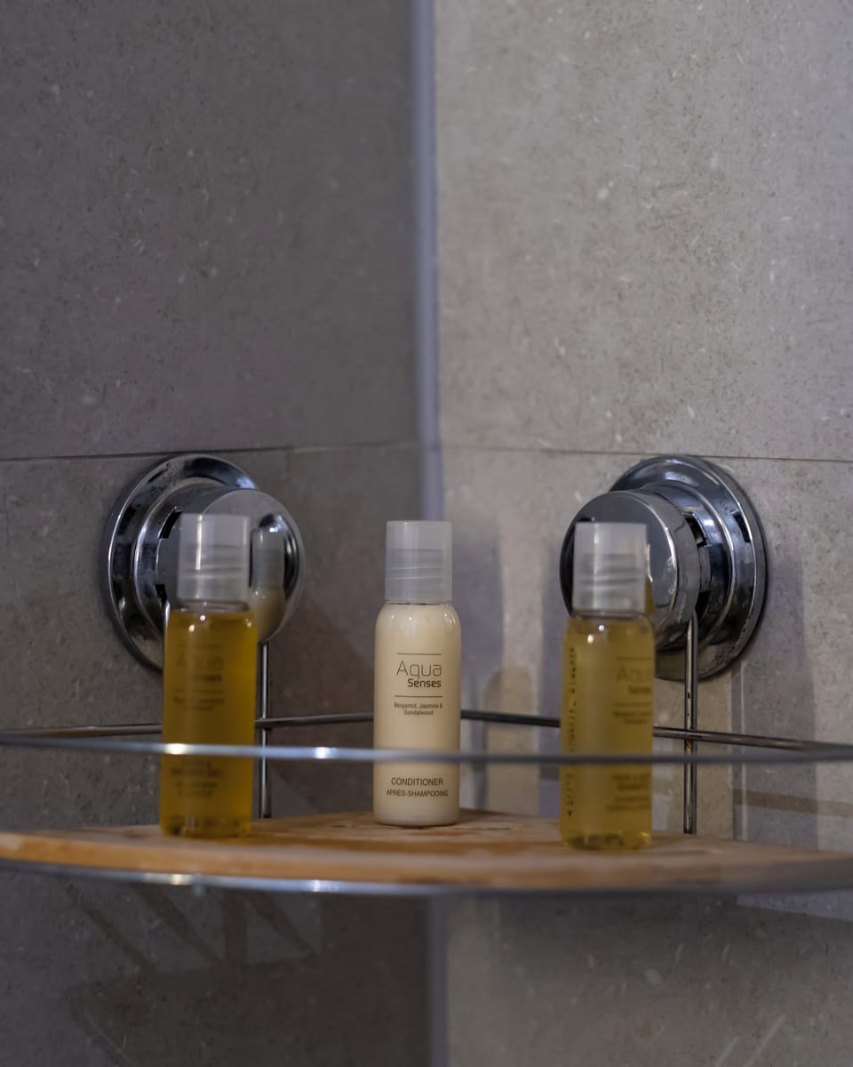 Standard Double Room | Bathroom amenities | Shower, hair dryer, slippers, bidet
