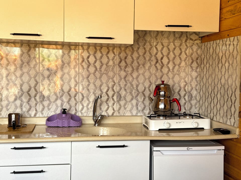 Stovetop, cookware/dishes/utensils