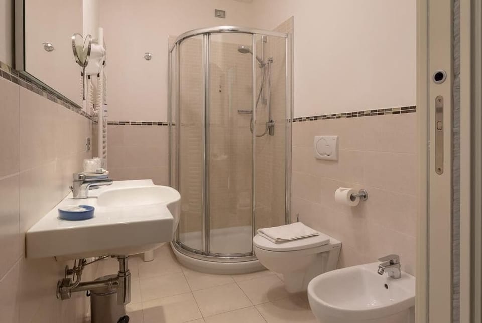 Shower, hair dryer, bidet, towels