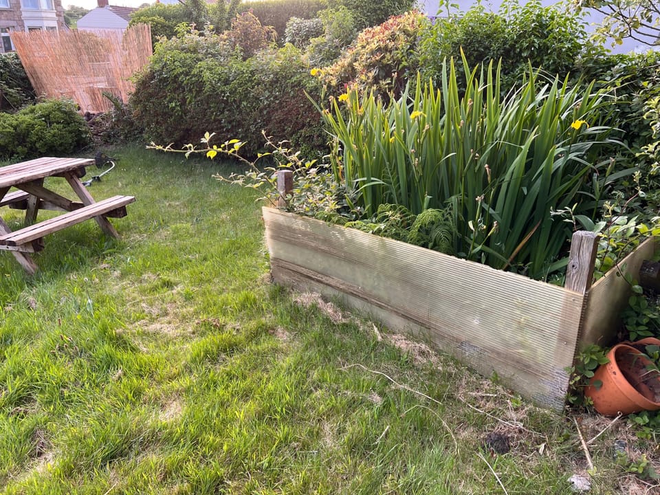 Image 13