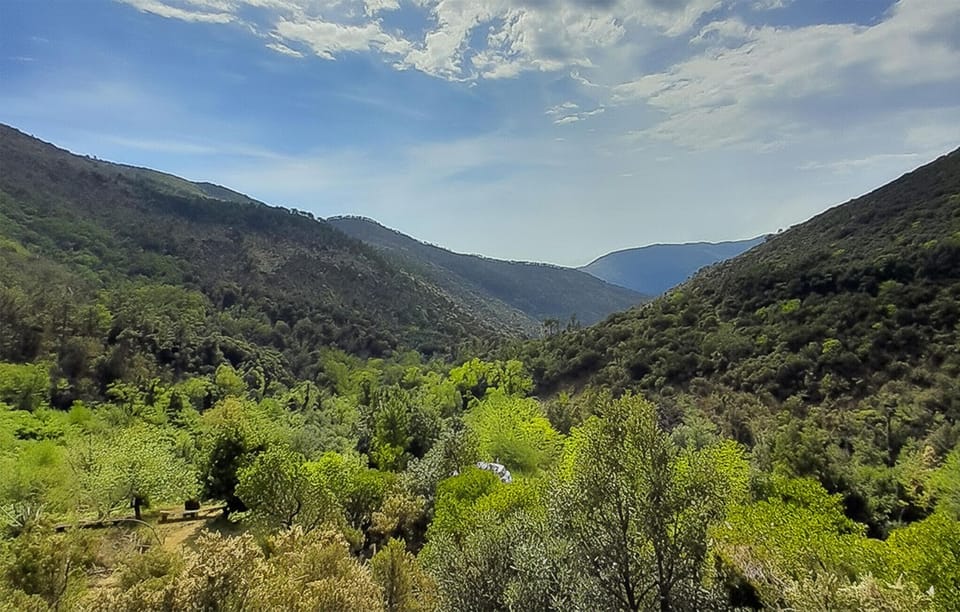 view-from-room