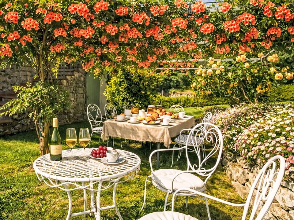 Flower, Garden, Shrub, Petal, Spring, Botanical Garden, Landscaping, Yard, Floristry