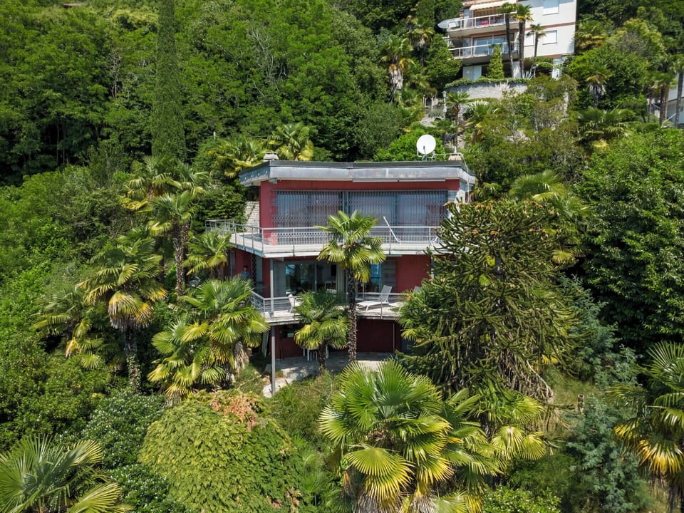 Tree, Vegetation, Shrub, Balcony, Estate, Hacienda, Jungle, Eco Hotel, Villa