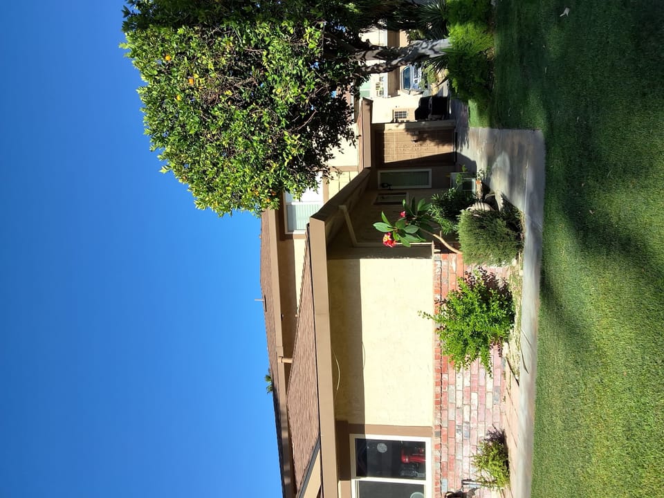 property exterior, summer, outdoor