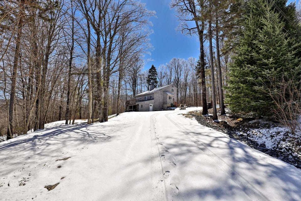 Tall trees line the broad driveway as it curves uphill toward the house.