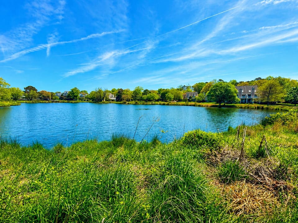 Spring Lake