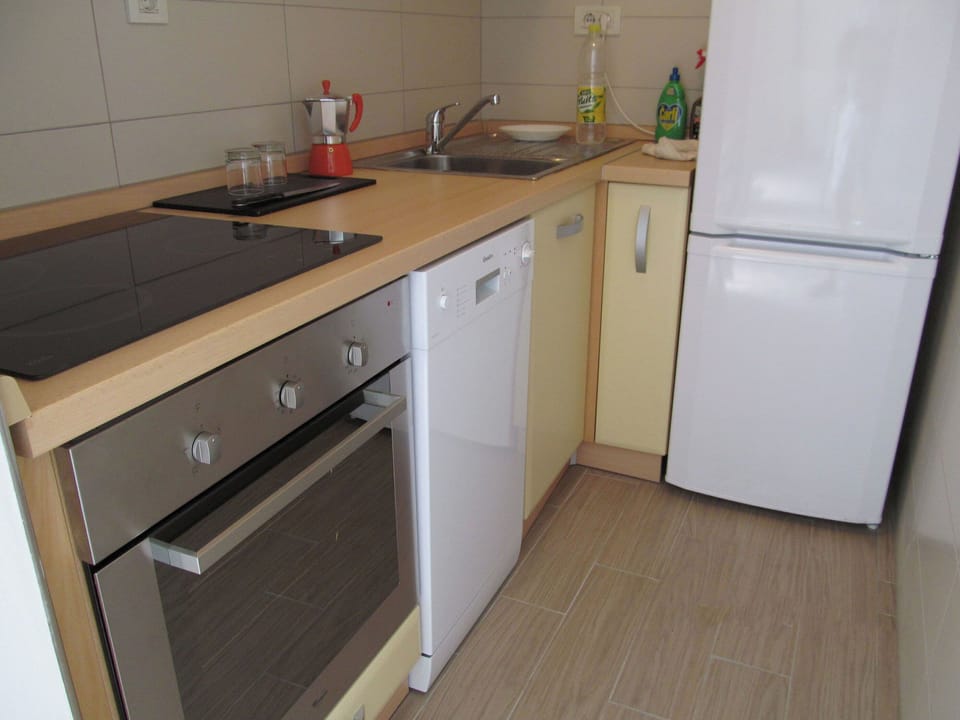 Apartment (A1) | Private kitchen | Fridge, microwave, oven, stovetop