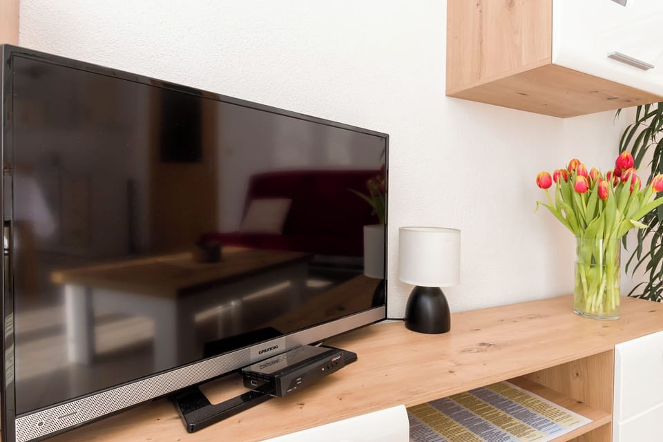 Television