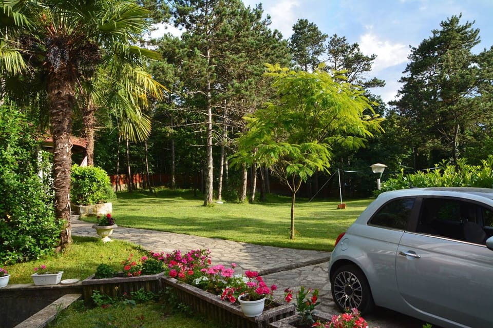 Free self parking
