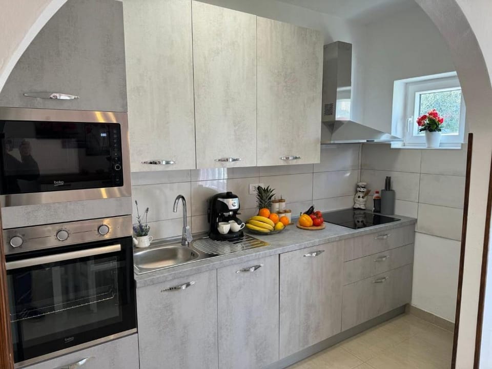 Apartment (A1) | Private kitchen | Fridge, microwave, oven, stovetop