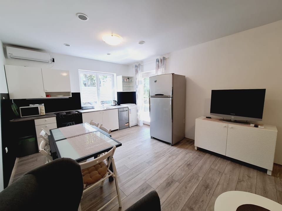 Apartment (A1) | Private kitchen | Fridge, microwave, oven, stovetop