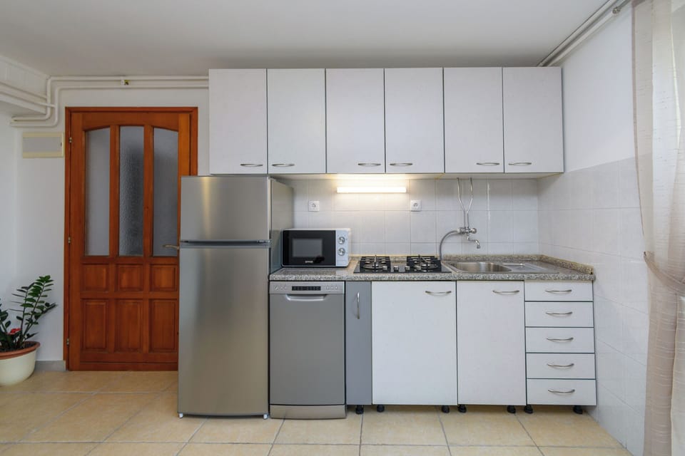 Apartment (A1) | Private kitchen | Fridge, microwave, stovetop, dishwasher
