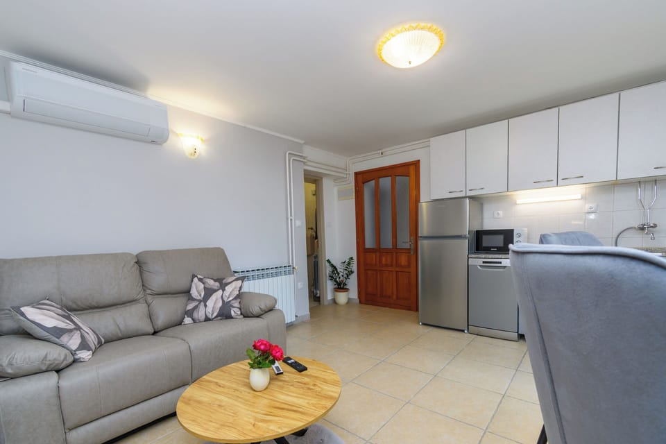 Apartment (A1) | Living room | Smart TV
