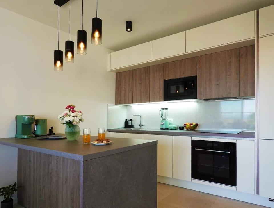 Apartment (A1) | Private kitchen | Fridge, microwave, oven, stovetop